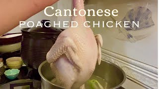 Cantonese Poached Chicken Cantonese White Cut Chicken And Ginger Scallion Sauce [upl. by Amaras]