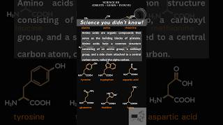 Amino Acids simplified [upl. by Eltsyrc]