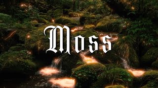 Eleri Ward  Moss Lyric Video [upl. by Sucramel]