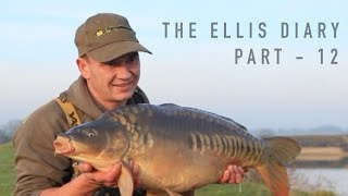 THE ELLIS DIARY  WINTER CARP FISHING ACTION AND A DEATH ON THE NOTORIOUS PIT [upl. by Nahtannhoj]