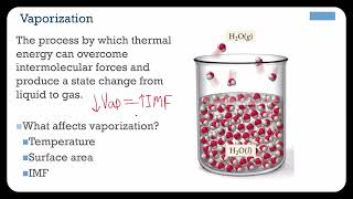 Intermolecular forces and Vapor Pressure Untitled Project [upl. by Strohben997]