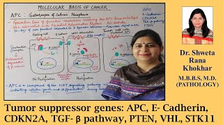 Tumor suppressor genes APC E Cadherin CDKN2A TGF β pathway PTEN VHL STK11  Neoplasia [upl. by Zucker318]