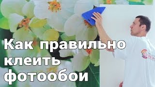 Как правильно клеить фотообои  СИМФОНИЯ [upl. by Lahtnero]