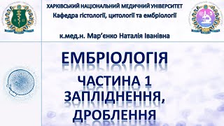 Ембріологія людини 1 Гамети запліднення дроблення імплантація [upl. by Edlitam]