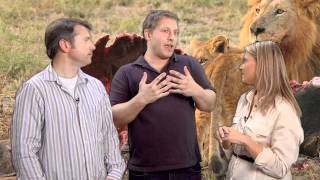 Learning From the Wild with Martin and Chris Kratt [upl. by Annaliese640]