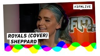 Sheppard  Royals Lorde cover  3FM Live [upl. by Allyn]