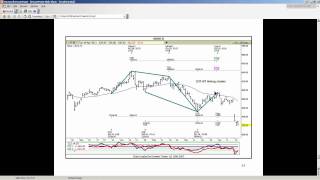 Carolyn Boroden  Introduction to Fibonacci Time and Price Analysis [upl. by Eirffej]