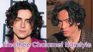 Timothée Chalamet Inspired Hairstyle Tutorial [upl. by Forsyth820]