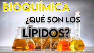 27 ¿QUÉ SON LOS LÍPIDOS  BIOQUÍMICA [upl. by Zetnas965]