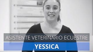 Opiniones MasterD  Yessica Curso Veterinaria Ecuestre [upl. by Aldredge86]