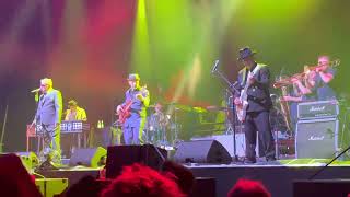 Madness  Embarrassment Afas Live Amsterdam 142023 [upl. by Apilef]