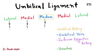 Umbilical Ligament  NEET PG 2023 Recall  Dr Pawan nagar [upl. by Onilegna]