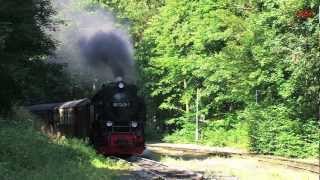 Dampf über dem Harz 23  die HSB  Dampfloks  Steam Trains [upl. by Hoashis]