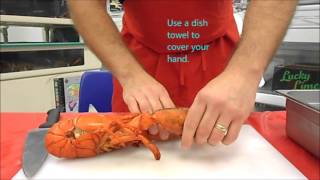 How to cook a live lobster [upl. by Denbrook477]