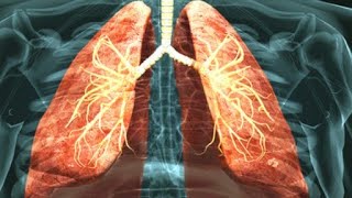 RESPIRATORY SYSTEM  3D Animation  Inhalation and exhalation  breathing  Ventilation [upl. by Rosenblatt416]