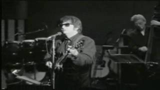 Roy Orbison The comedians Live [upl. by Bertasi]