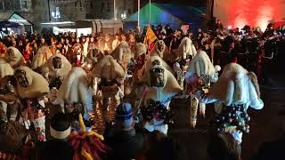 Großes Narrentreffen Weingarten 20 Januar 2024 Weingarten narren deutschland fasnet [upl. by Egwan]