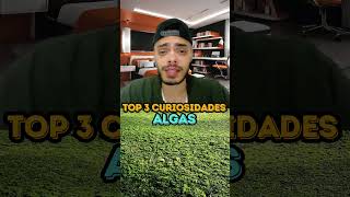 ALGAS  TOP 3 CURIOSIDADES [upl. by Fen]