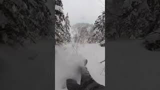 Snowboard powder in Japan with chadotterstrom this winter MintTours [upl. by Skippy184]