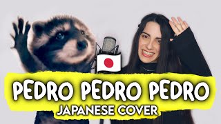 Pedro Pedro Pedro  Japanese Cover 🇯🇵​ ft NimieIvy Raffaella Carrà [upl. by Najar]