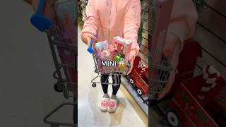 My Sister Buys Whatever FITS into a MINI SHOPPING CART 😱🛍️🛒 Target Shopping Spree [upl. by Kenwrick]