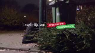 Kerstboom eruit Kamerplant erin [upl. by Malca574]