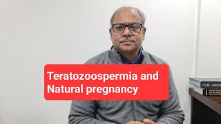 Teratozoospermia and Natural pregnancy Questions taken 2612024 [upl. by Eilliw]