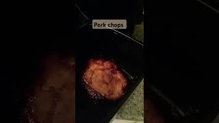 Air fryer pork chops porkchops shortsviral youtubeshorts food [upl. by Hteboj]