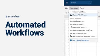 Automated Workflows Overview [upl. by Esiralc826]