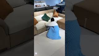 L wala sofa come bed sofa setviralvideo [upl. by Berthoud]