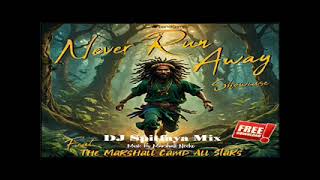 Never Run Away Riddim Mix 2024Bad Card ChristelleRobbie KeyGold Chains EllaRobbie KeyTuffy [upl. by Yrro]