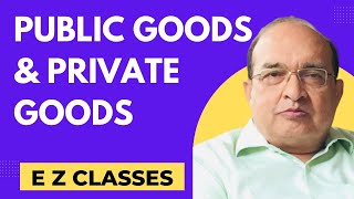 Public Goods amp Private Goods HINDI [upl. by Nodnil]