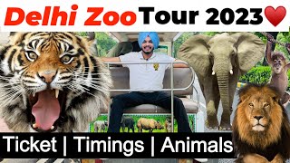 Delhi Zoo  Delhi zoo all animals  Delhi Zoological Park  Delhi Zoo [upl. by Cirad978]