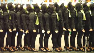 NC AampT  Alpha Kappa Alpha Alpha Phi Chapter Probate 342017 [upl. by Regdor547]