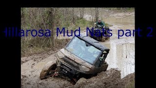 Ranger 1000 mudding at Hillarosa mud nationals [upl. by Leontyne]