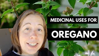 Using Oregano as Medicine Great for Colds amp Coughs [upl. by Etra]