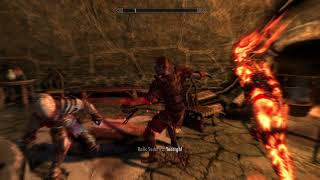 Skyrim  Teldryn Sero vs Ralis Sedarys Legendary [upl. by Hesler71]