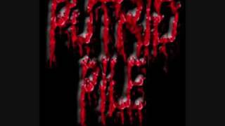 Putrid Pile  The Gorebox [upl. by Idyak543]