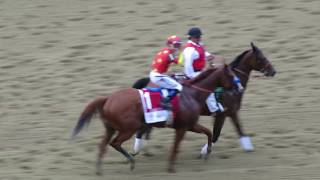 COMPLETE JUSTIFY Victory Lap amp Crowd Salute  2018 Belmont Stakes Triple Crown Win [upl. by Mukerji]