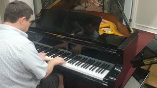 Petrof V Baby Grand Piano Ebony Polish 572491 [upl. by Introk]