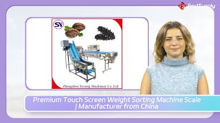 Premium Touch Screen Weight Sorting Machine Scale  Manufacturer from China [upl. by Adnauq126]