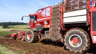 BEET HARVESTER  Rübenernter Holmer Terra Dos T3 2013 [upl. by Emilie]