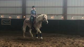 Haflinger quotSvenquot tuneup training [upl. by Anna-Diane527]