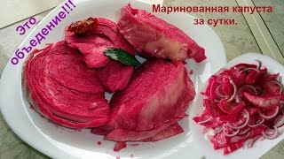 Очень вкусная домашняя маринованная капуста за сутки [upl. by Nevear491]