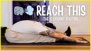 Hamstrings and Posterior Chain FollowAlong Elephant Stretching Routine [upl. by Siuqramed590]