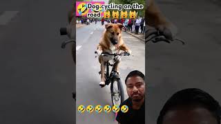 Dog cycling shoes 🤣 shortsfeed reaction [upl. by Retsev]