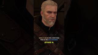 Impressive Small Details In The Witcher 3 [upl. by Cahilly]