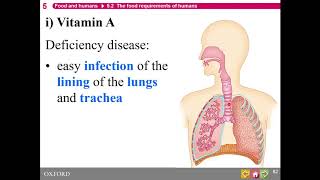 HKDSE Biology  Food and Humans  Part 2 [upl. by Gillette]