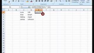 How to concatenate using Microsoft Excel [upl. by Capone536]