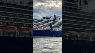 Nieuw Amsterdam 🛳️⚓️ like share comment subscribe cruiseship cruise vacation shorts short [upl. by Emelyne]